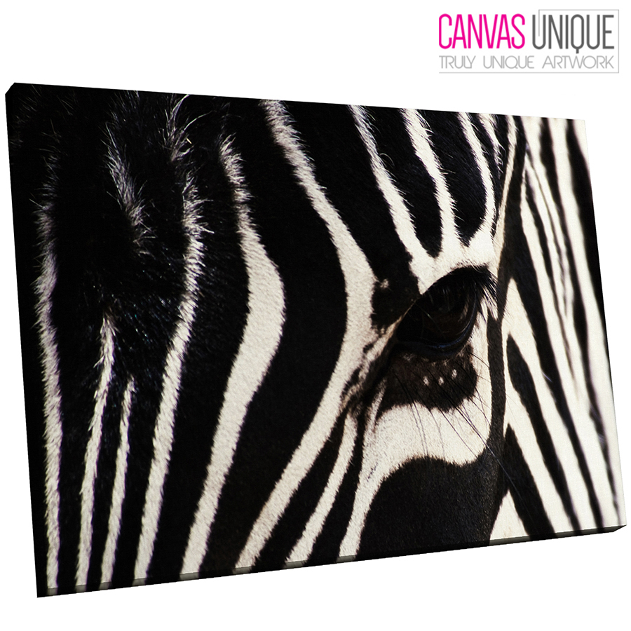 AB023 Black White Zebra Stripe Modern Abstract Canvas Wall Art Picture Prints