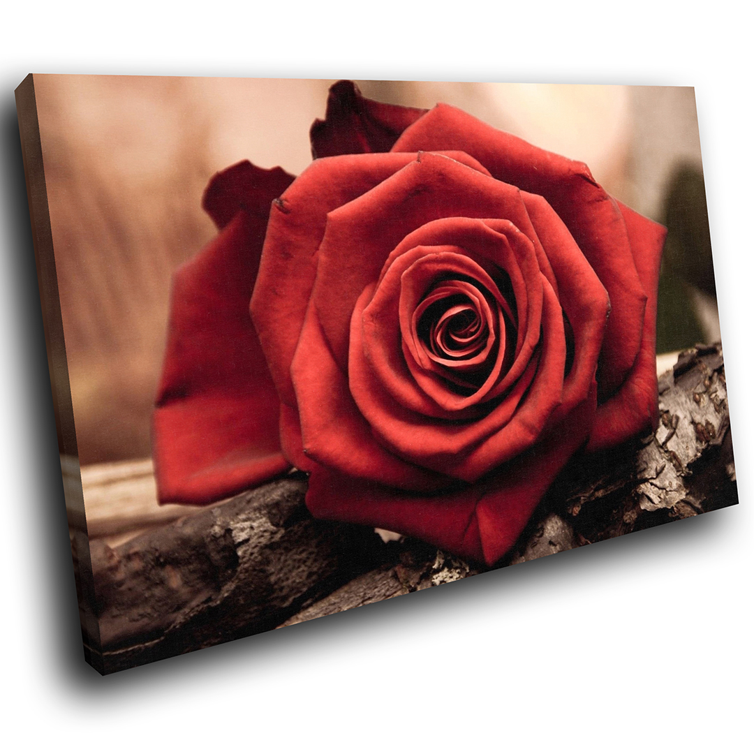 SC268 Retro Red Rose Vintage Cool Nature Canvas Wall Art Large Picture Prints 