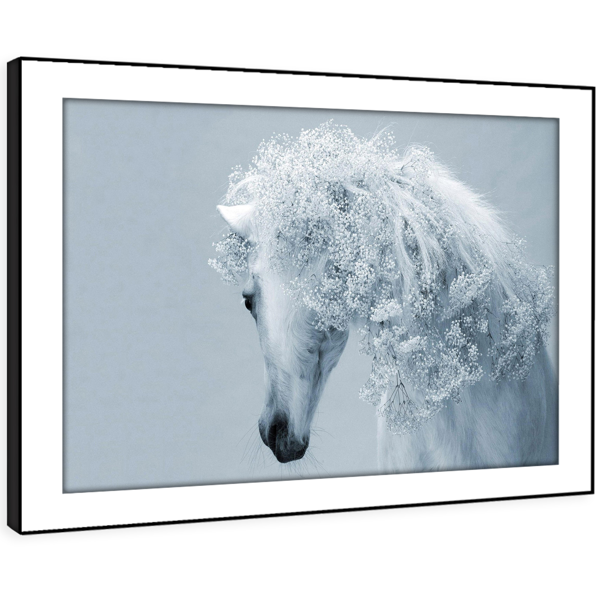 White Horses Black Grey Funky Animal Canvas Wall Art Large Picture Prints