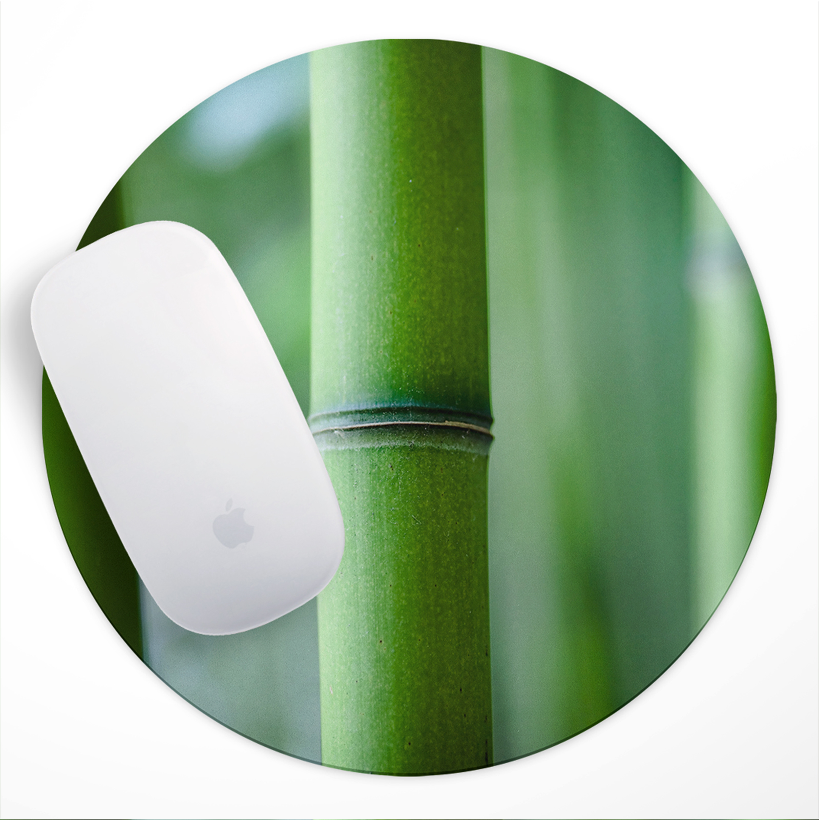 Round Green Bamboo Forest Nature UK Non Slip Mouse Mat Pad PC Laptop Gaming