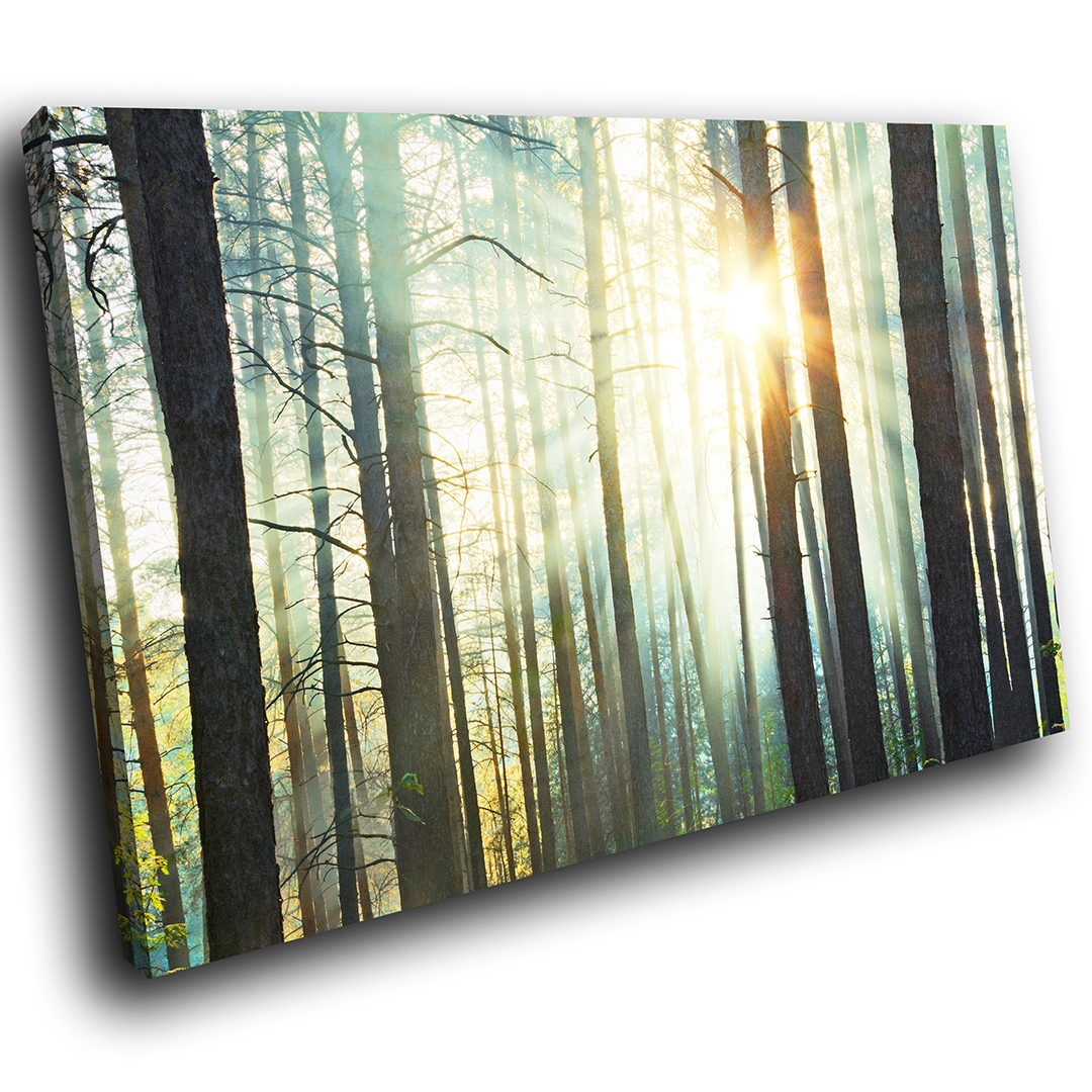 Green Forest Tree Nature Portrait Scenic Canvas Wall Art Large Picture Prints 