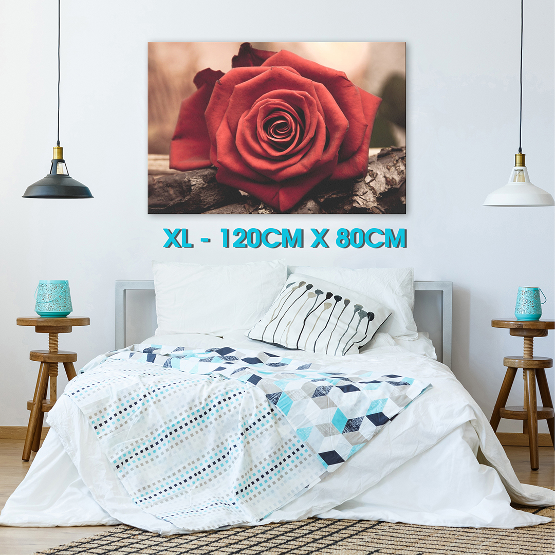 SC268 Retro Red Rose Vintage Cool Nature Canvas Wall Art Large Picture Prints 
