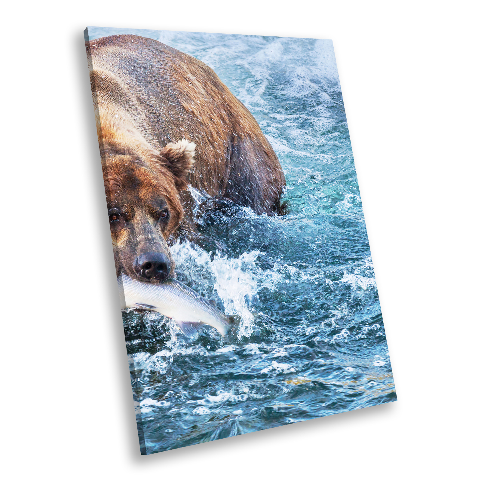 Blue Water Brown Bear   Portrait Animal Canvas Wall Art Large Picture Prints