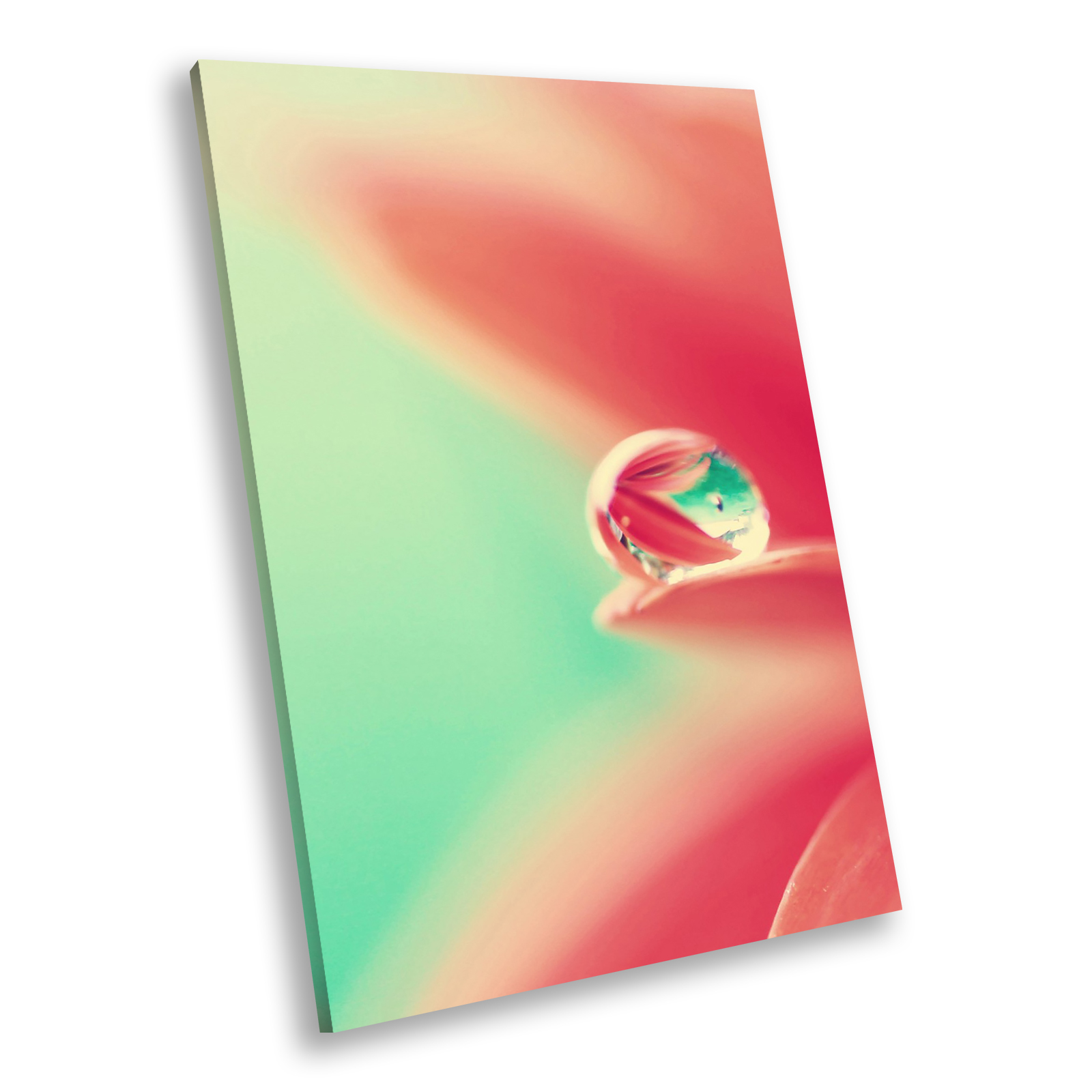 Pink Green Lily Flower Raindrop Portrait Scenic Canvas Framed Art Picture